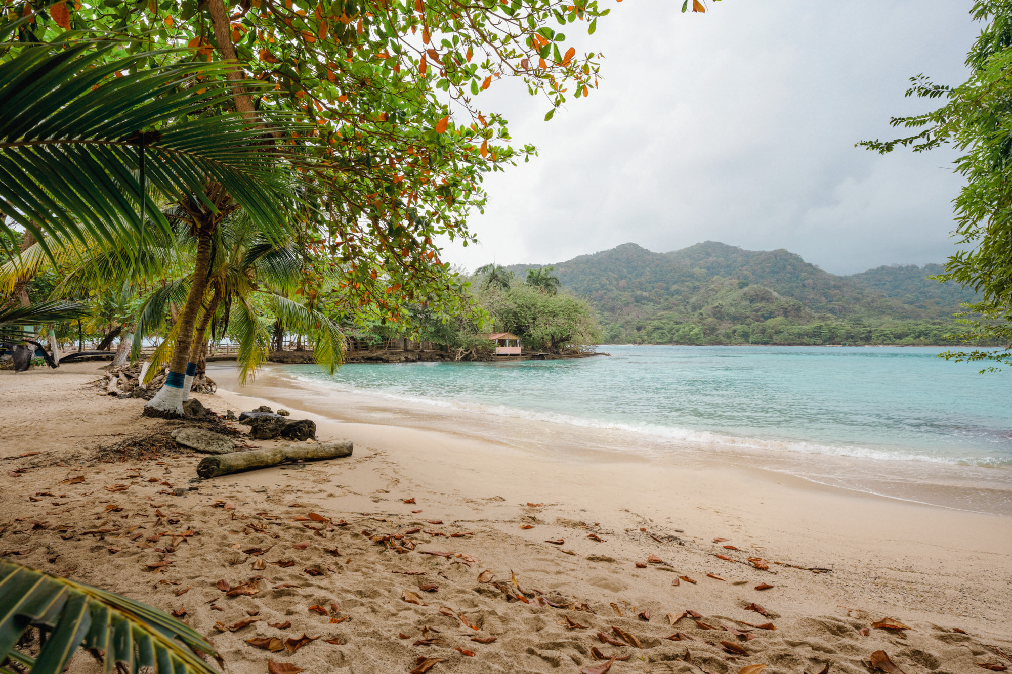 Chocó