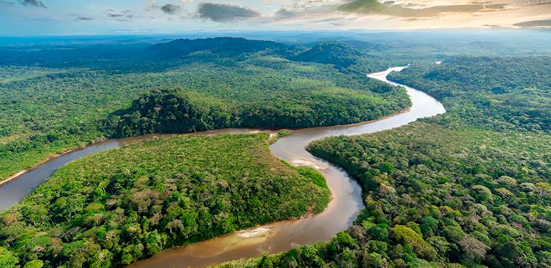 Amazonas