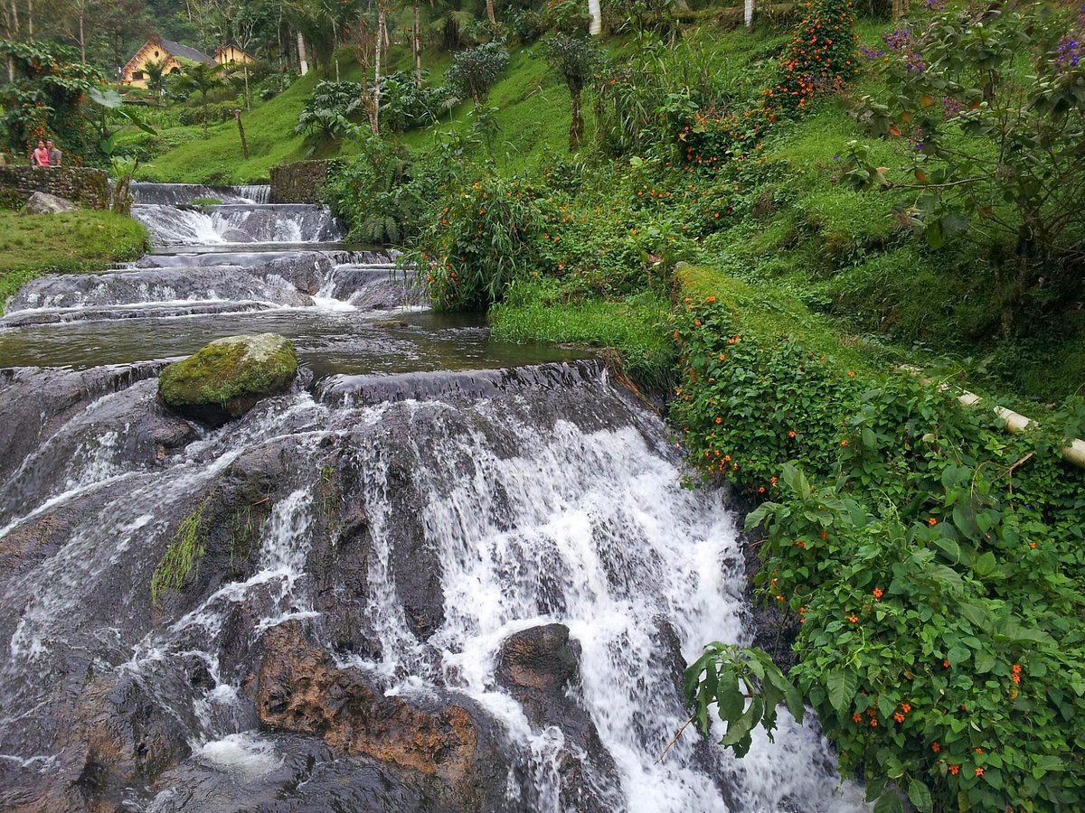 Risaralda